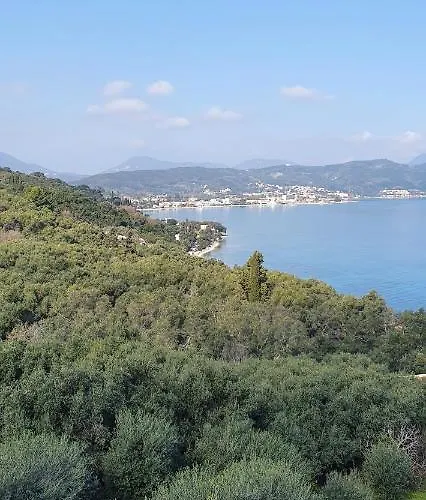 Olga's Agios Dimitrios (Corfu)
