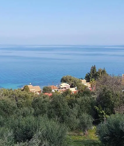 Olga's Agios Dimitrios (Corfu)