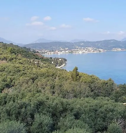 Olga's Agios Dimitrios (Corfu)